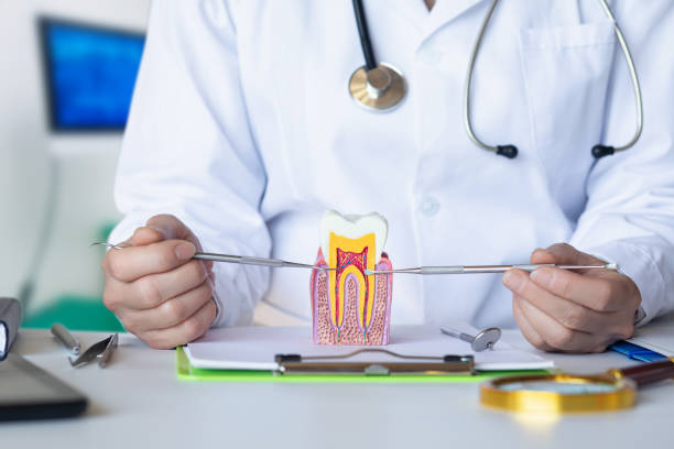 Best Pediatric Emergency Dentist in Barclay, NJ